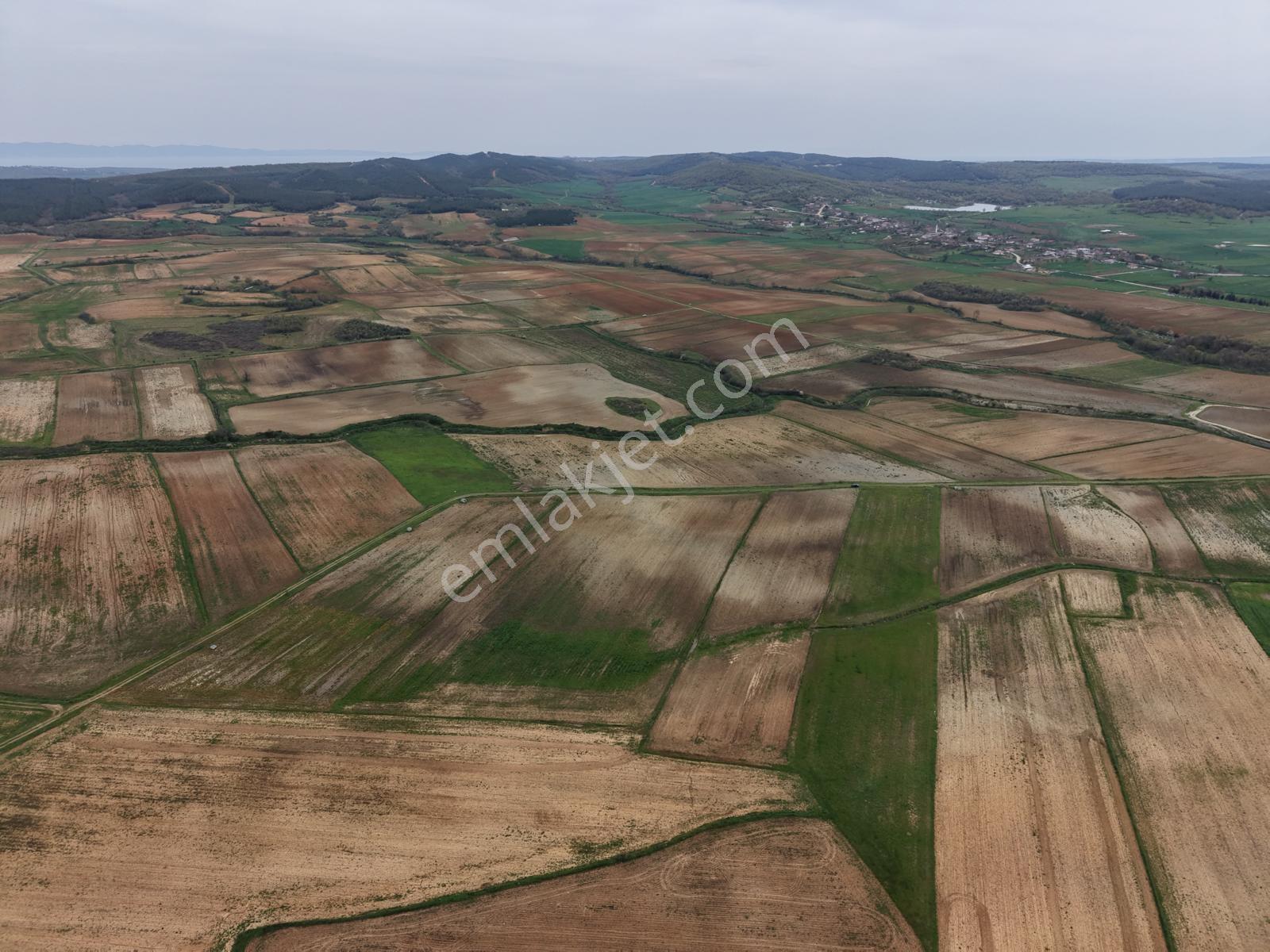 Ege Emlak'tan Şabanmera Köyünde Yatırımlık Fırsat Arazi - Görsel 18