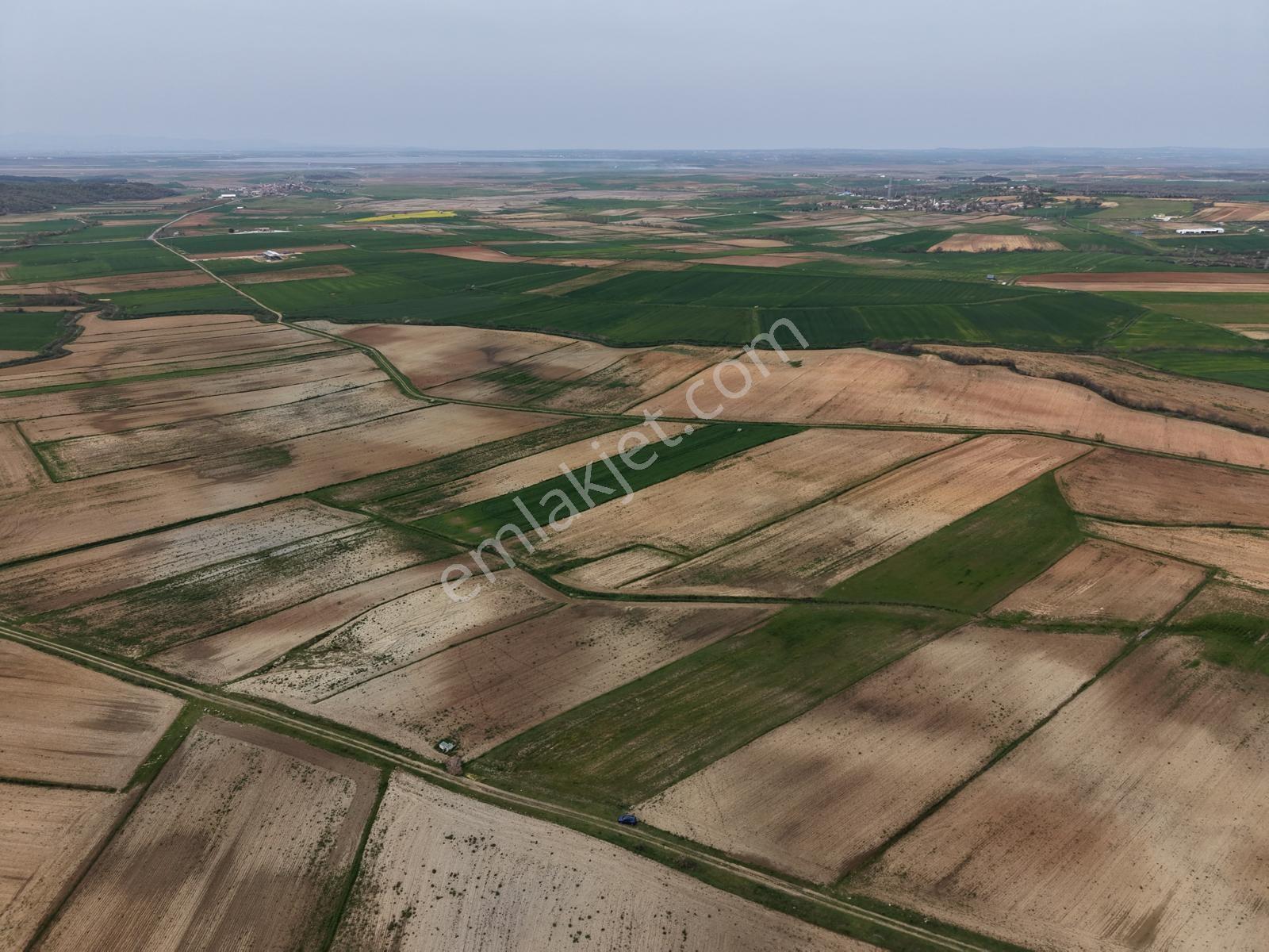 Ege Emlak'tan Şabanmera Köyünde Yatırımlık Fırsat Arazi - Görsel 7