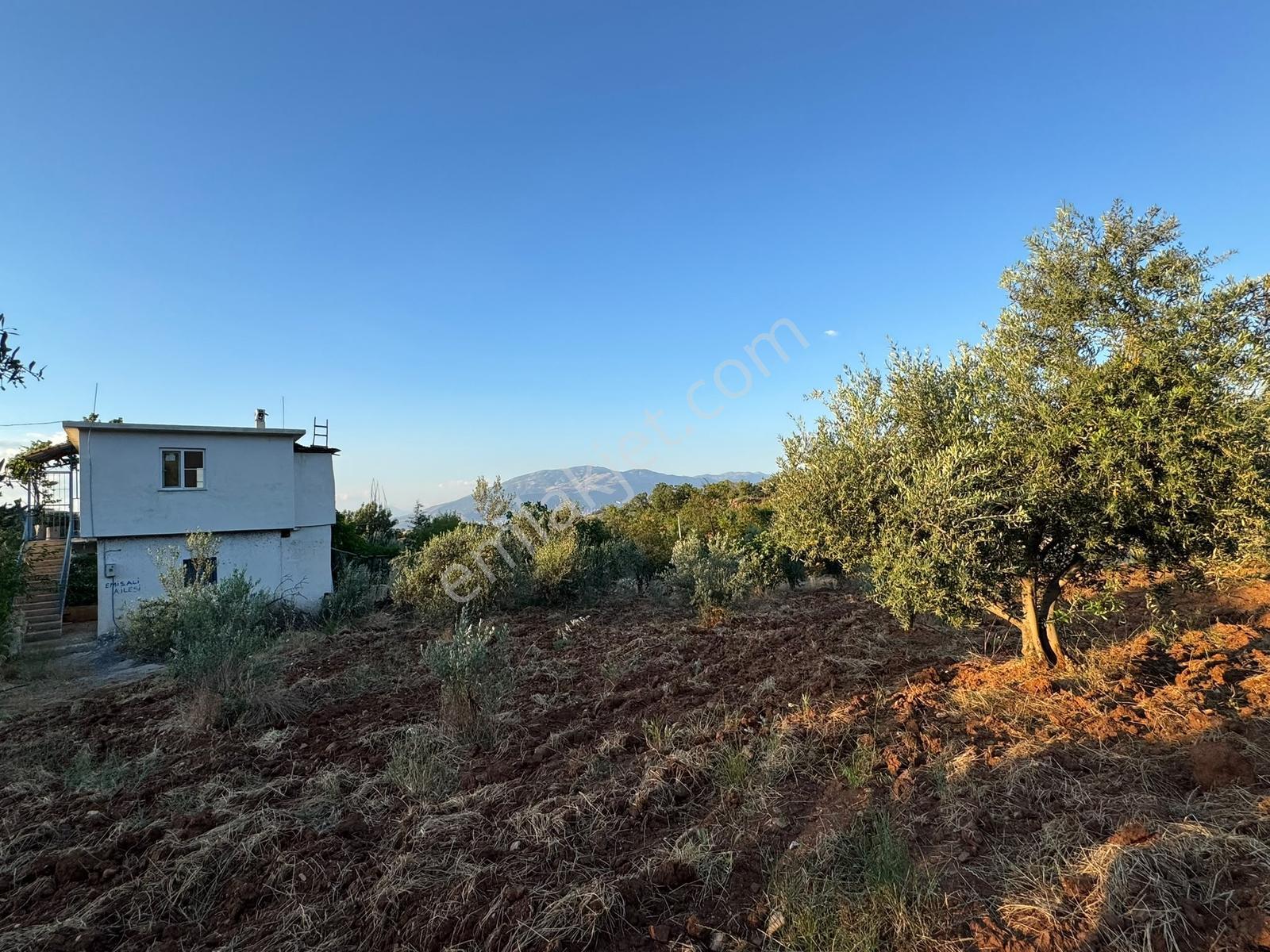 Cb'den Önsen Kurtlar'da Bağ Evi - Görsel 4