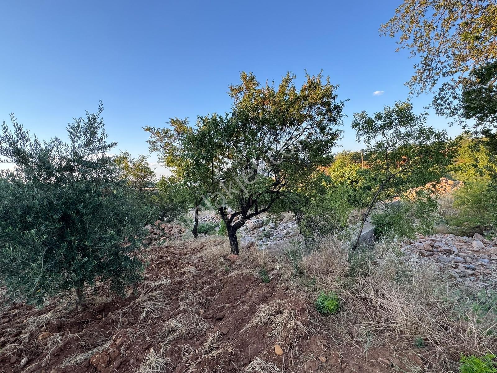 Cb'den Önsen Kurtlar'da Bağ Evi - Görsel 9