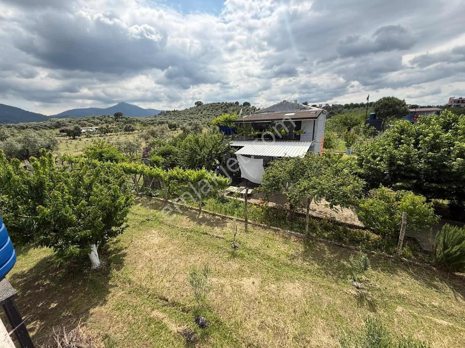 İzmir Kemalpaşa'da Satılık Arsa
