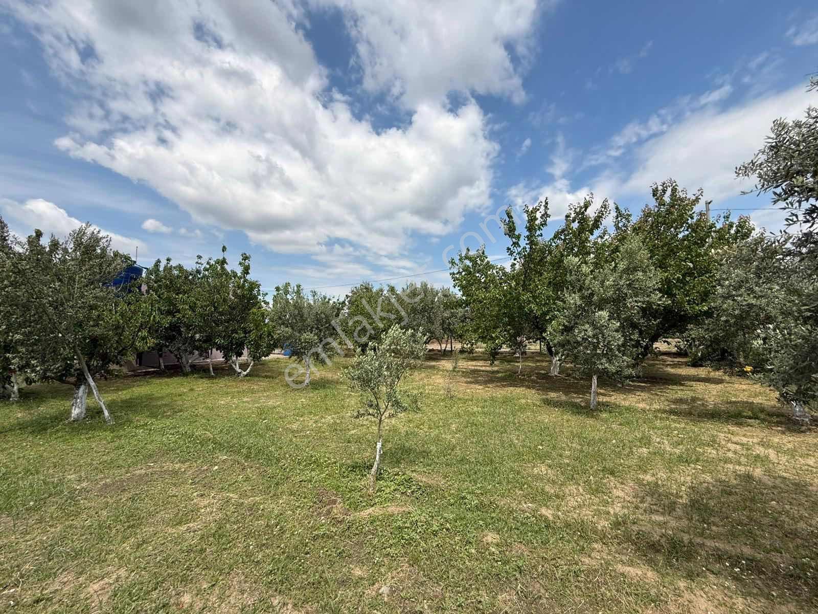 İzmir Kemalpaşa'da Satılık Arsa - Görsel 33