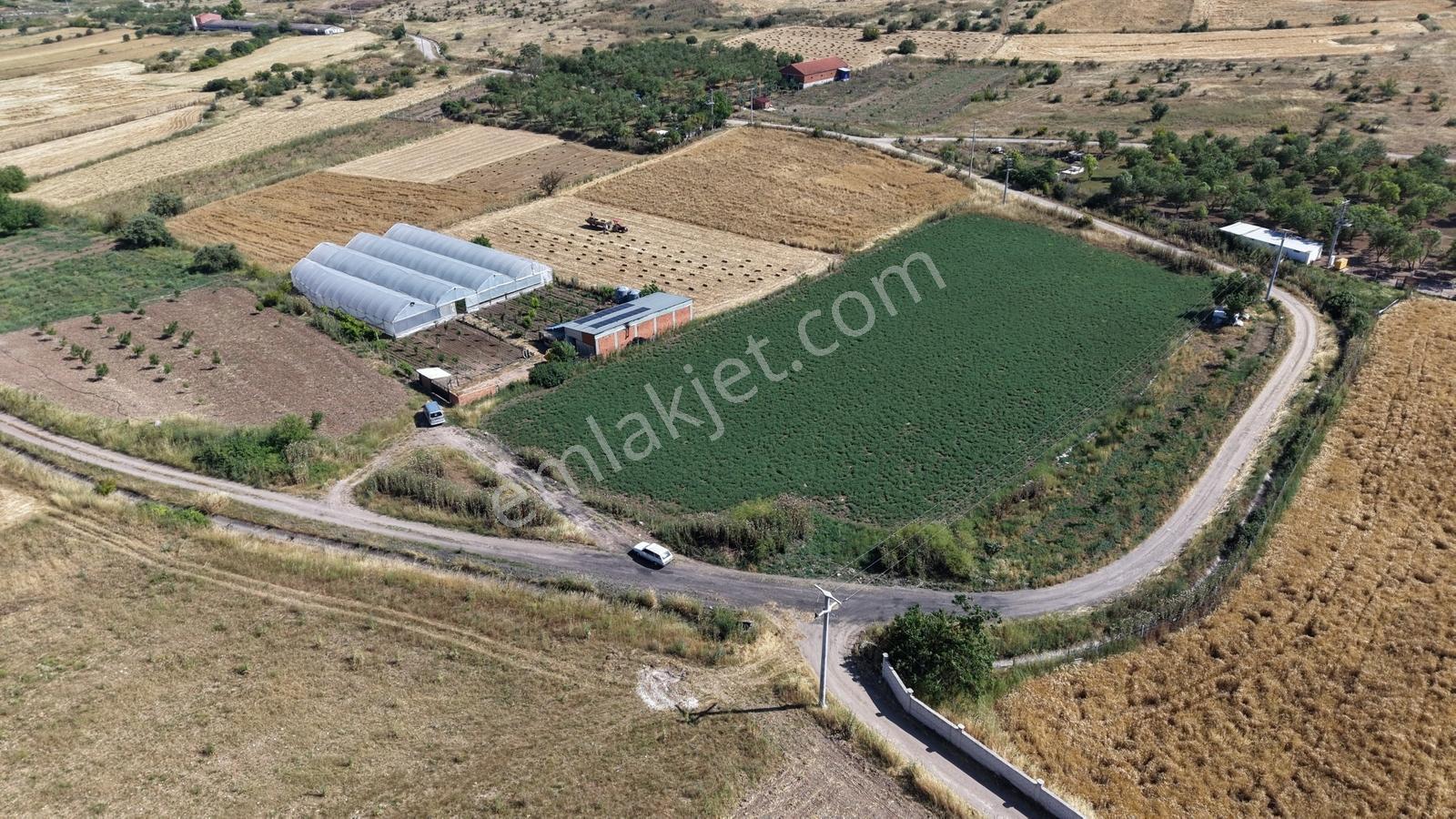 Hega İnvest'den Pamukçu Mahallesinde Kupon Arazi Başka Yok - Görsel 6