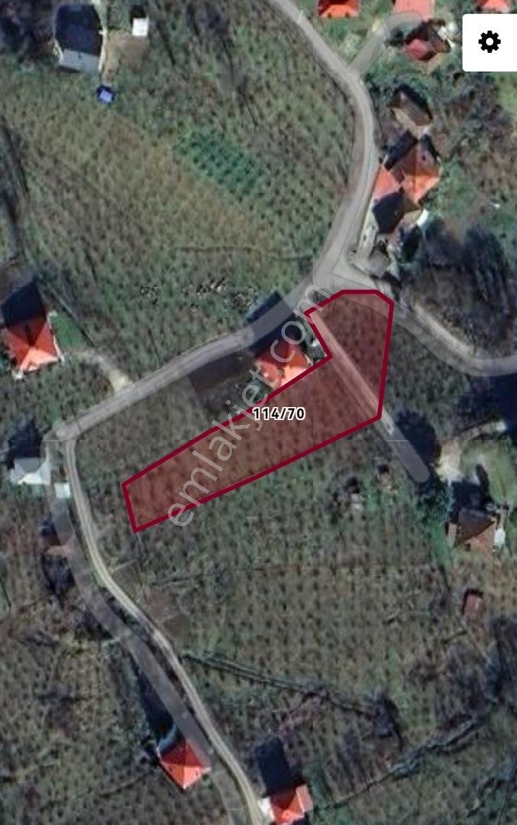 Yeşilhisar Mah. Satılık Fındık Bahçesi 2.100 Metrekare - Görsel 17