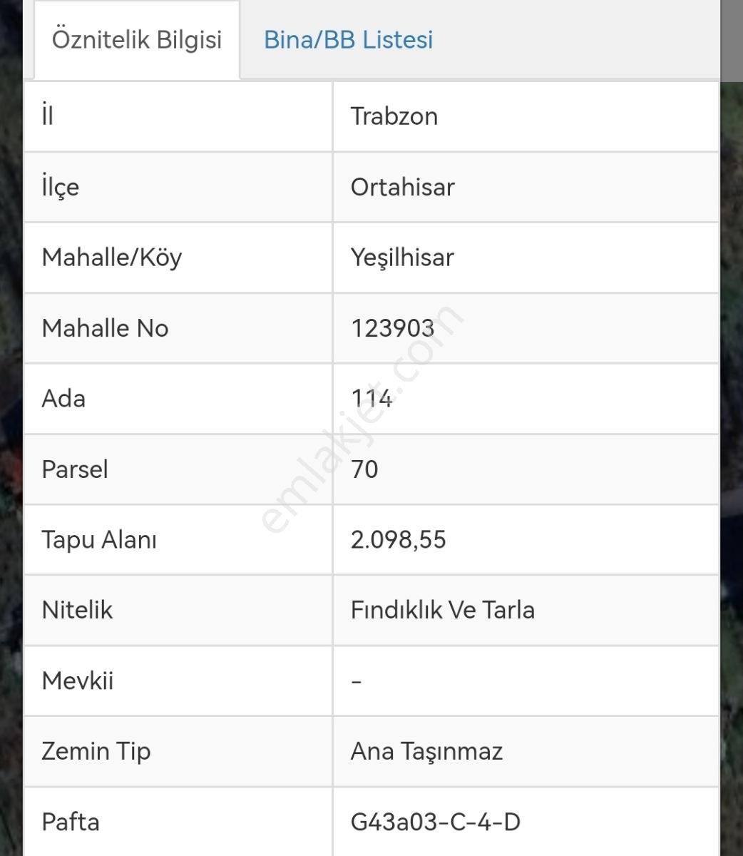 Yeşilhisar Mah. Satılık Fındık Bahçesi 2.100 Metrekare - Görsel 14