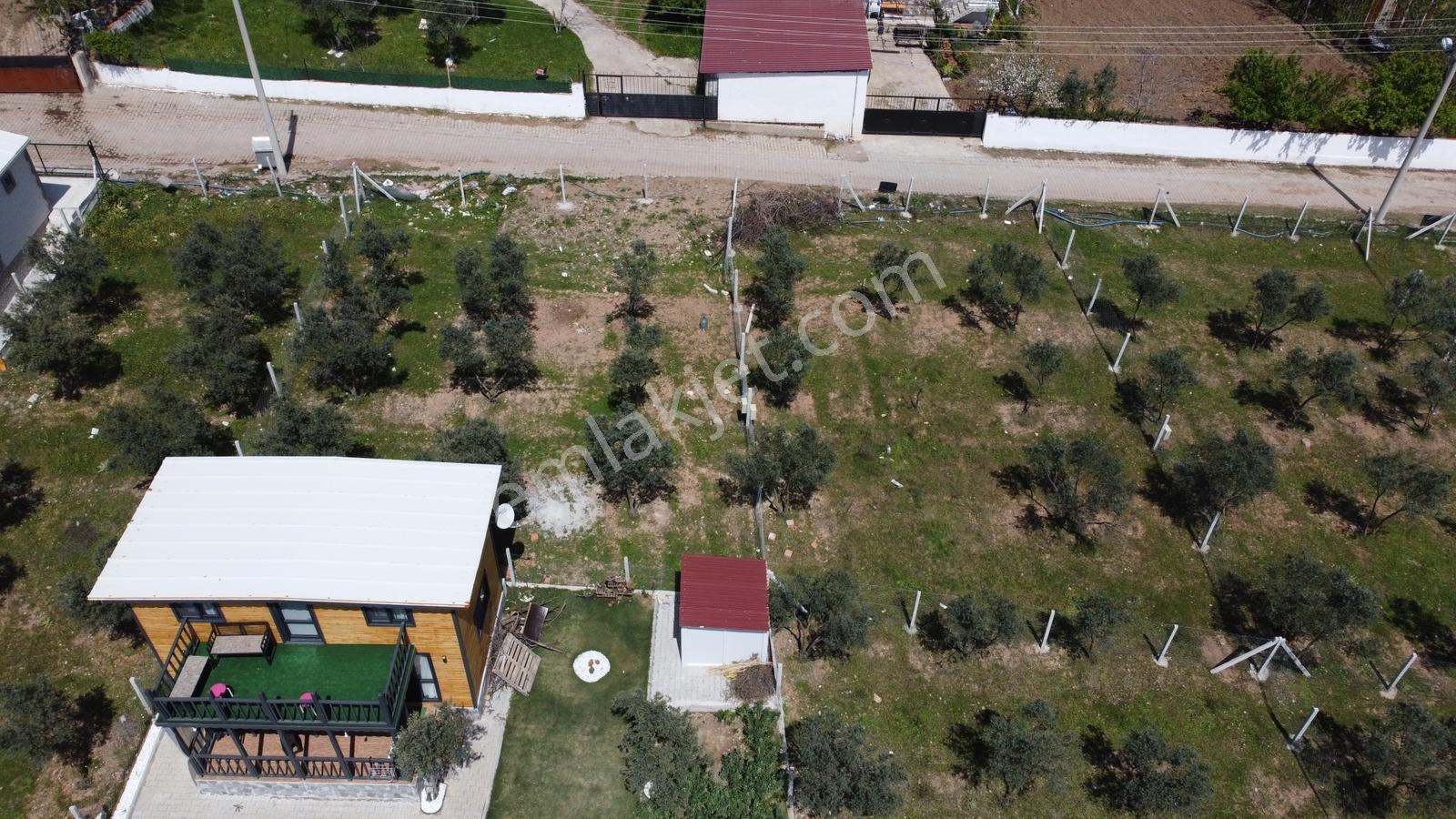 Menderes Yeni Köyde Kooperatif Hisseli 248 M2 Hobi Bahçesi - Görsel 5