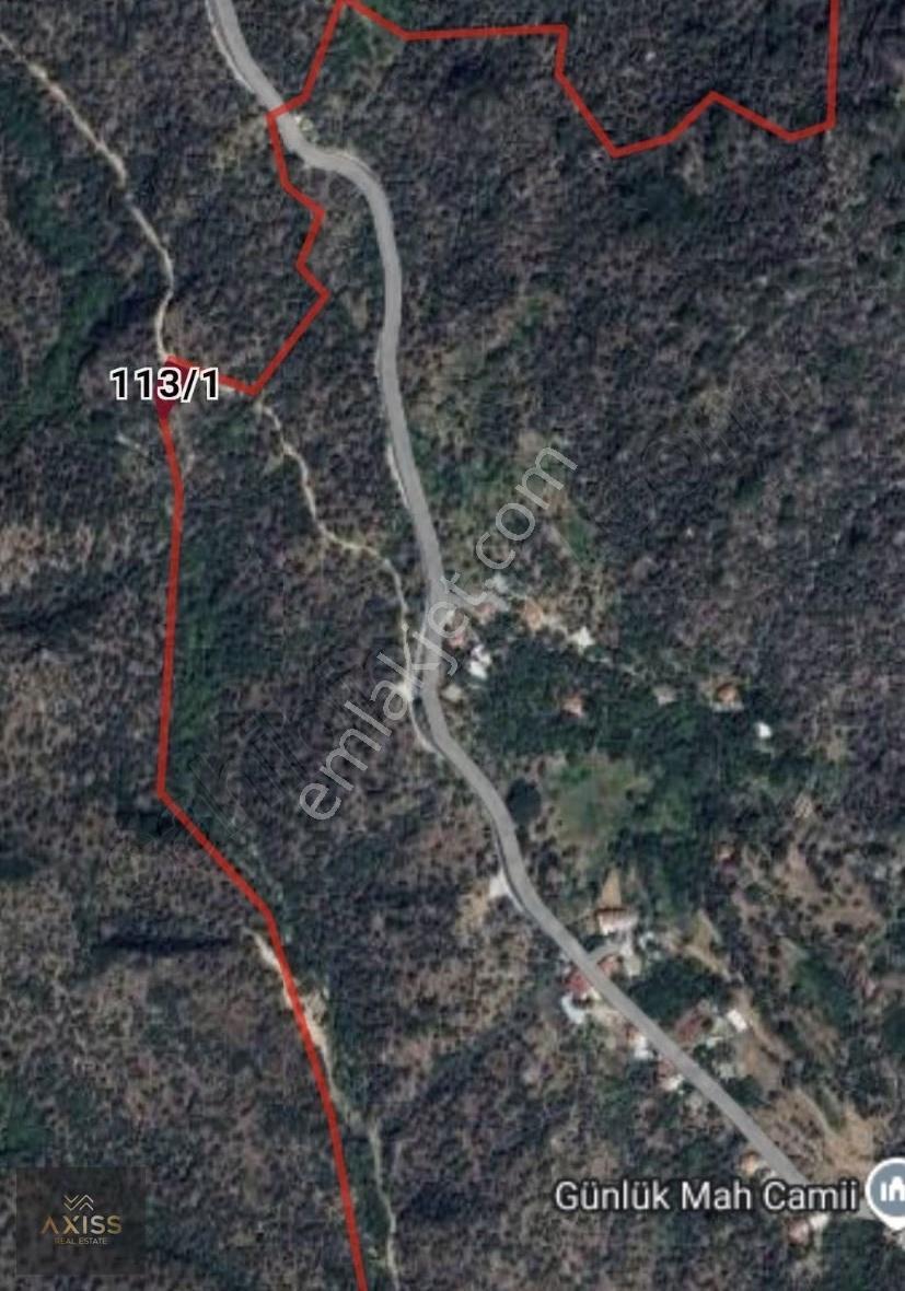 Milas Günlükte Satılık Zeytinlik - Görsel 2