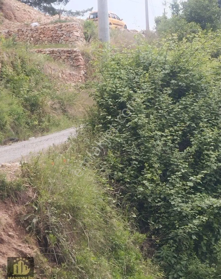 Bektaş 500 M2 Hisesi Satılık - Görsel 5