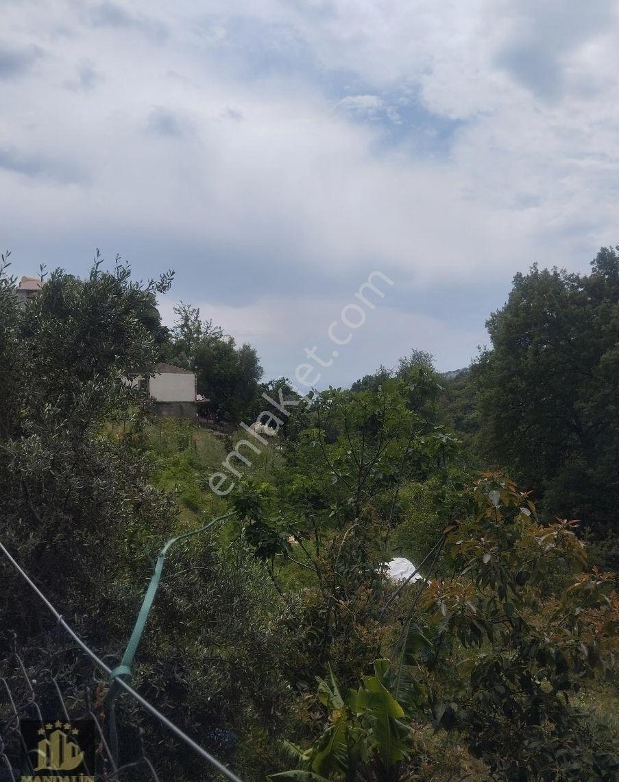 Bektaş 500 M2 Hisesi Satılık - Görsel 7