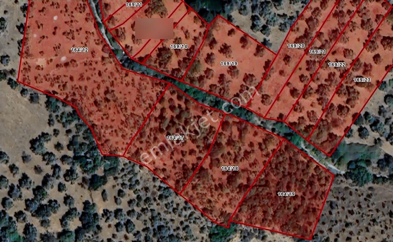 Milas Danışment Ana Yola Yakın Resmi Yolu Olan 2400m2 Zeytinlik - Görsel 11
