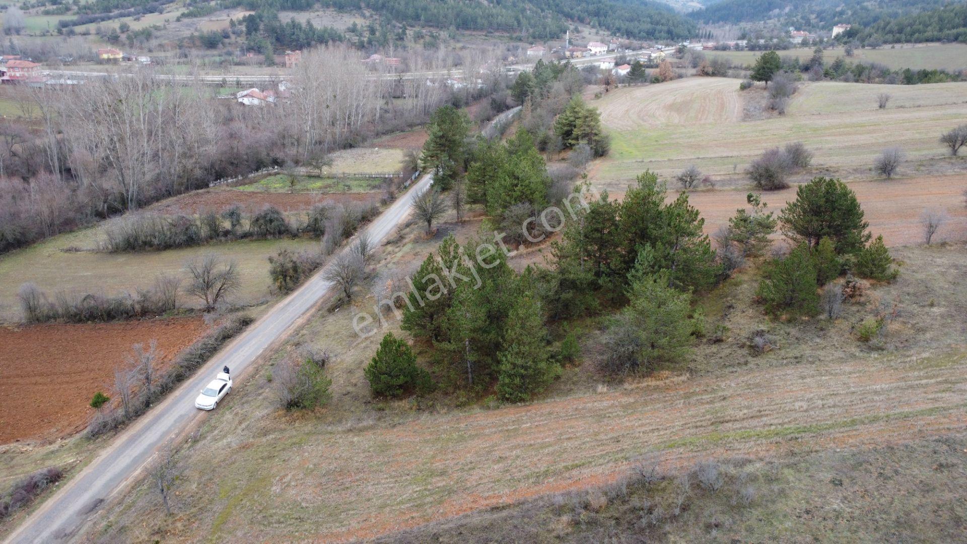 Kastamonu İhsangazi Dağyolu 4257 Mt Asfalt Cephe Karayoluna 300 Mt Yapılara 200 Mt Mesadedir - Görsel 10