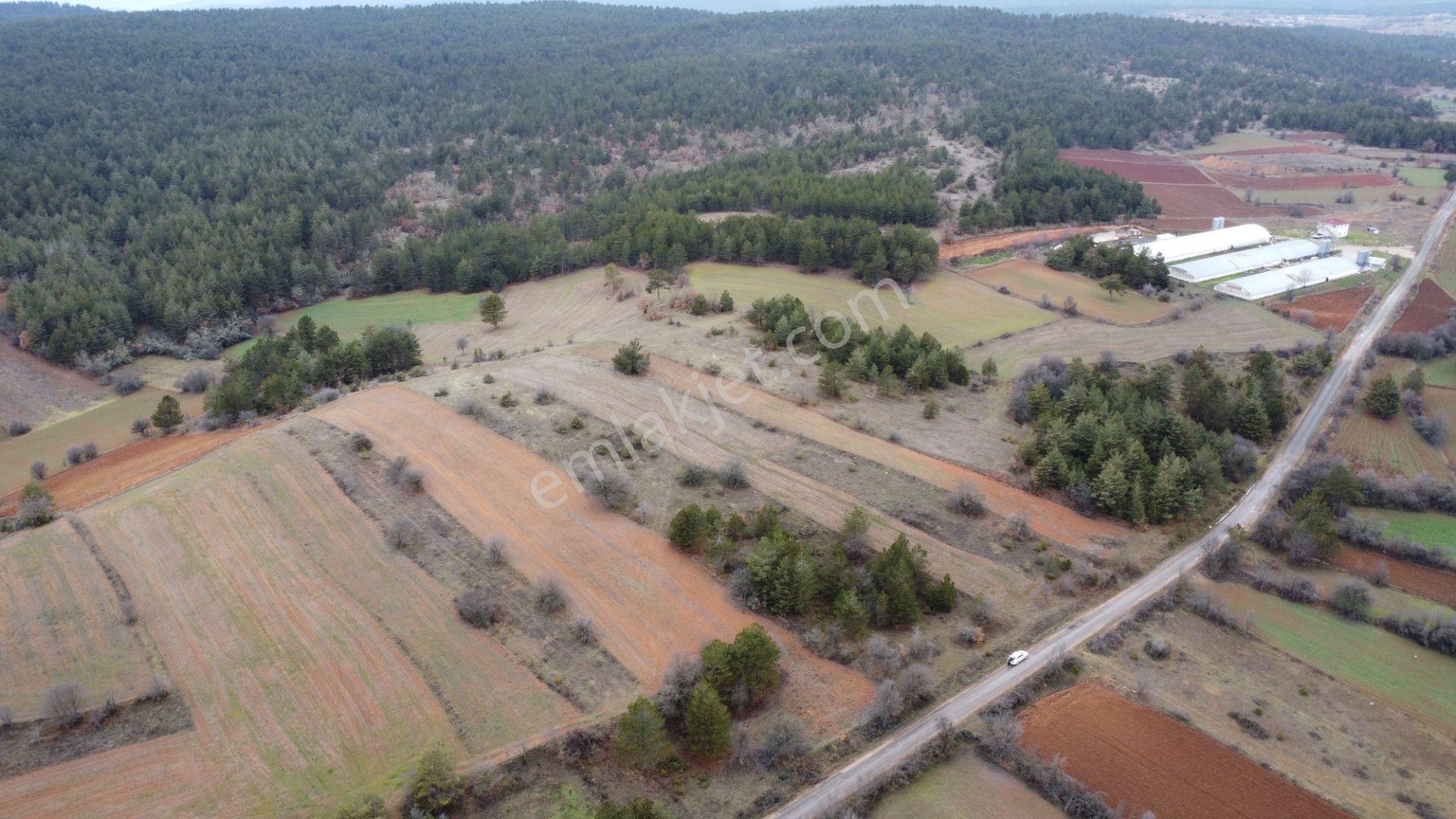 Kastamonu İhsangazi Dağyolu 4257 Mt Asfalt Cephe Karayoluna 300 Mt Yapılara 200 Mt Mesadedir - Görsel 19