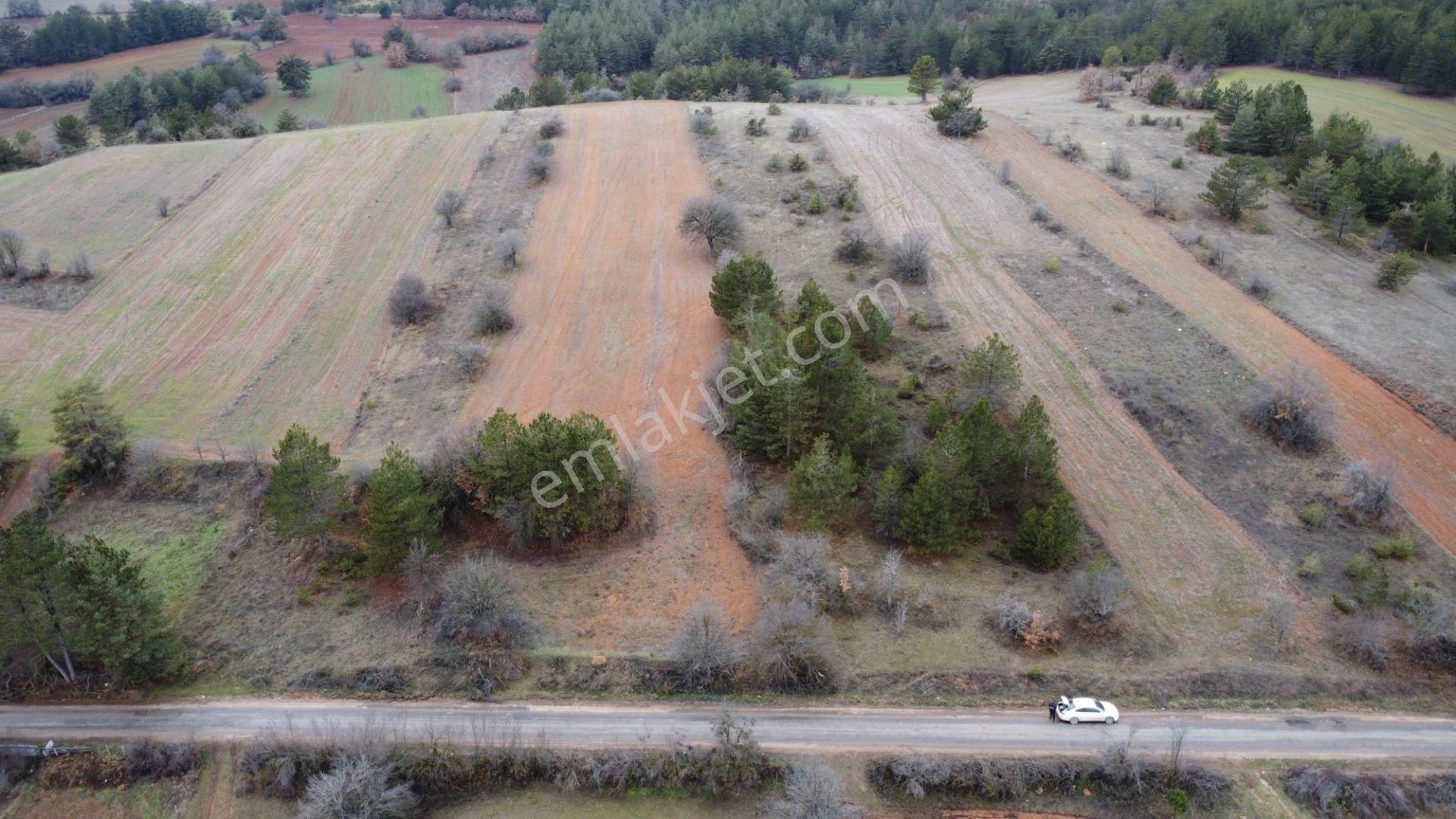 Kastamonu İhsangazi Dağyolu 4257 Mt Asfalt Cephe Karayoluna 300 Mt Yapılara 200 Mt Mesadedir - Görsel 36