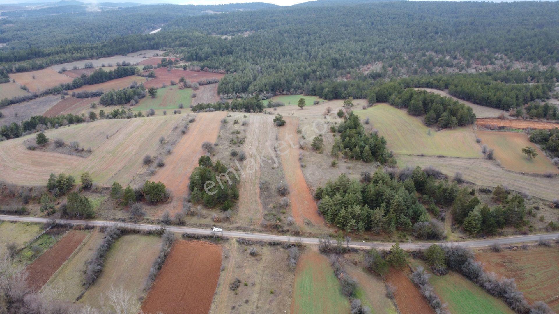 Kastamonu İhsangazi Dağyolu 4257 Mt Asfalt Cephe Karayoluna 300 Mt Yapılara 200 Mt Mesadedir - Görsel 25