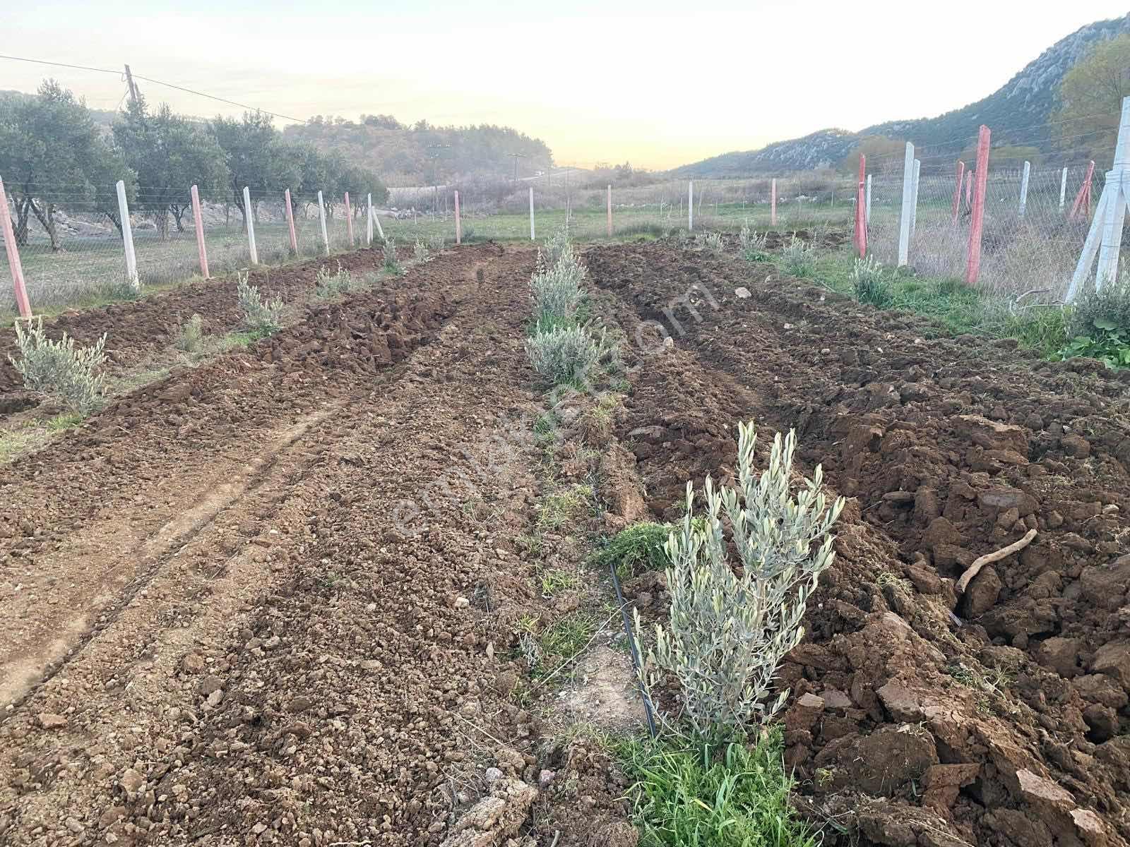 Vizyon Gayrimenkul'den Doğankayada Tek Tapu Fırsat Bahçe - Görsel 13
