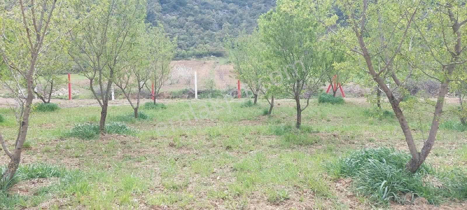 Vizyon Gayrimenkul'den Doğankayada Tek Tapu Fırsat Bahçe - Görsel 3