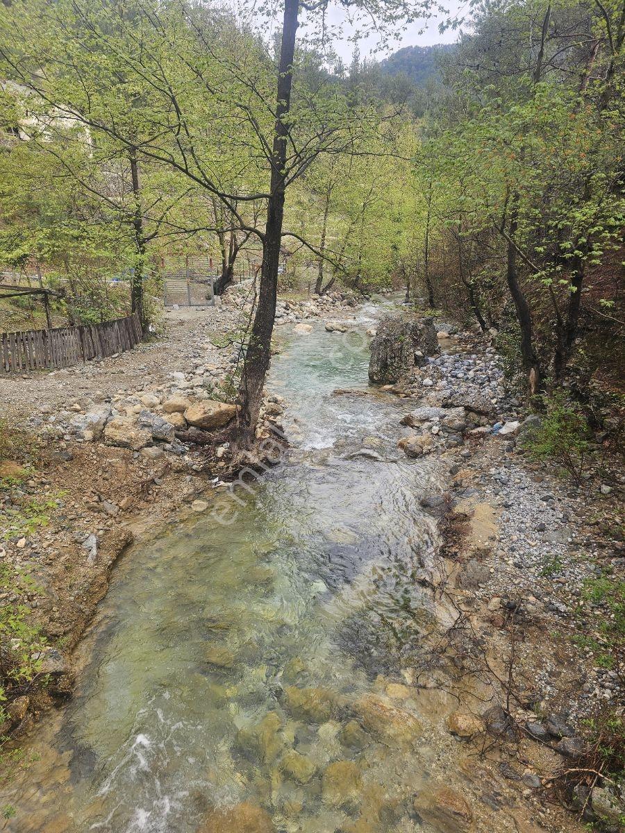 Alanya Çaya Sıfır Satılık Tarla Uygun Fiyata Takas Olur - Görsel 19