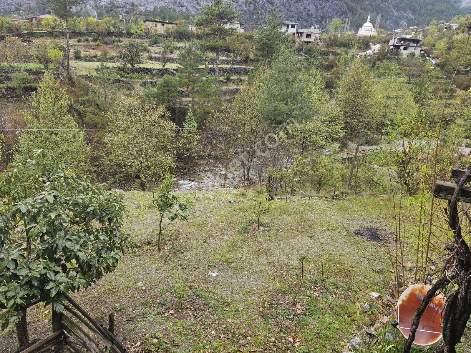 Alanya Çaya Sıfır Satılık Tarla Uygun Fiyata Takas Olur - Görsel 6