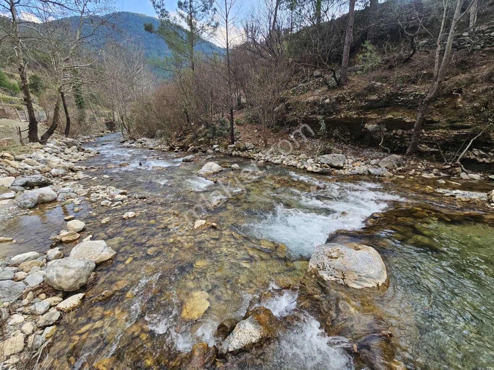Alanya Çaya Sıfır Satılık Tarla Uygun Fiyata Takas Olur - Görsel 12