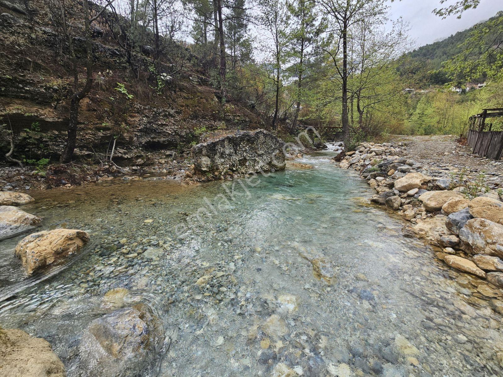 Alanya Çaya Sıfır Satılık Tarla Uygun Fiyata Takas Olur - Görsel 15