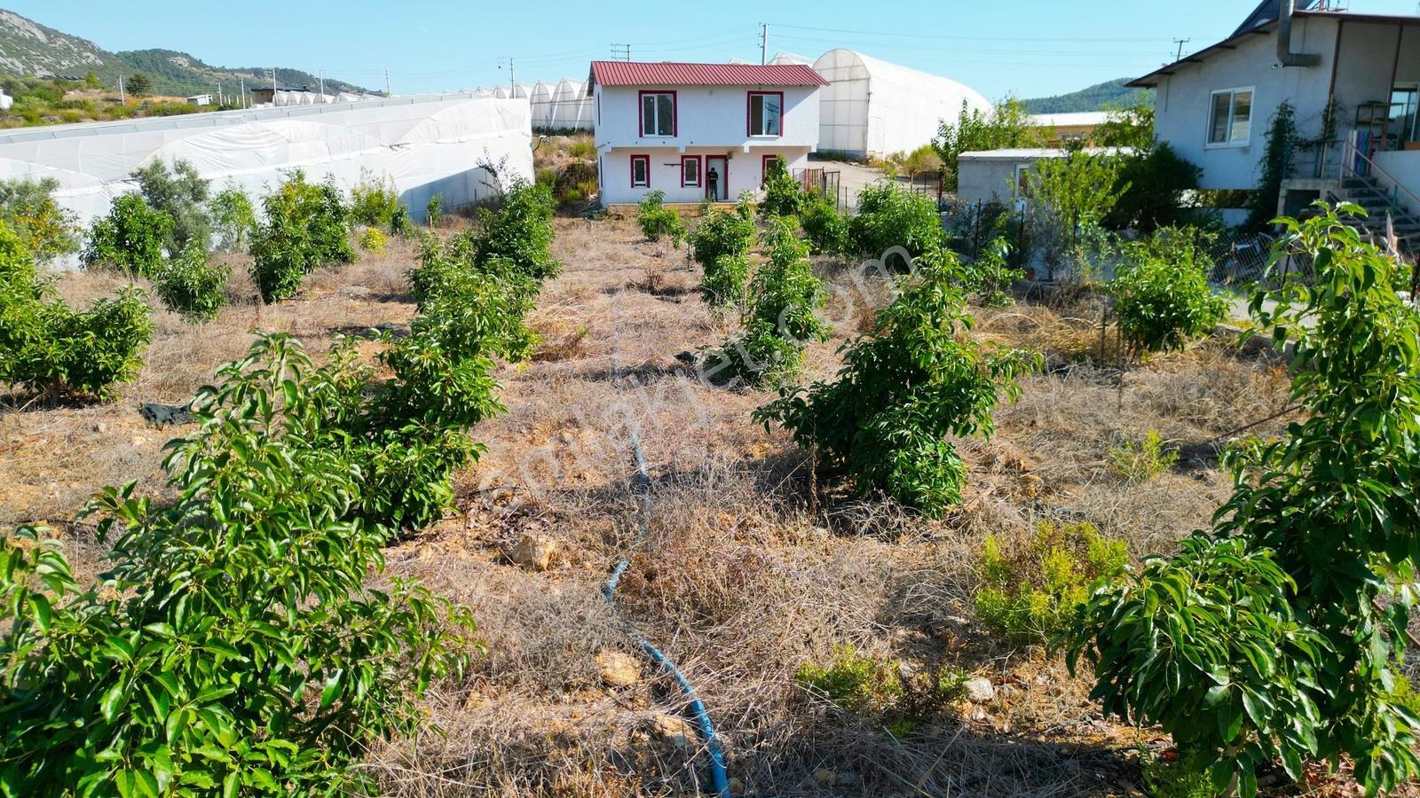 Alanya İmamlı'da Satılık Müstakil Ev + 2000 M² Bahçe - Görsel 11