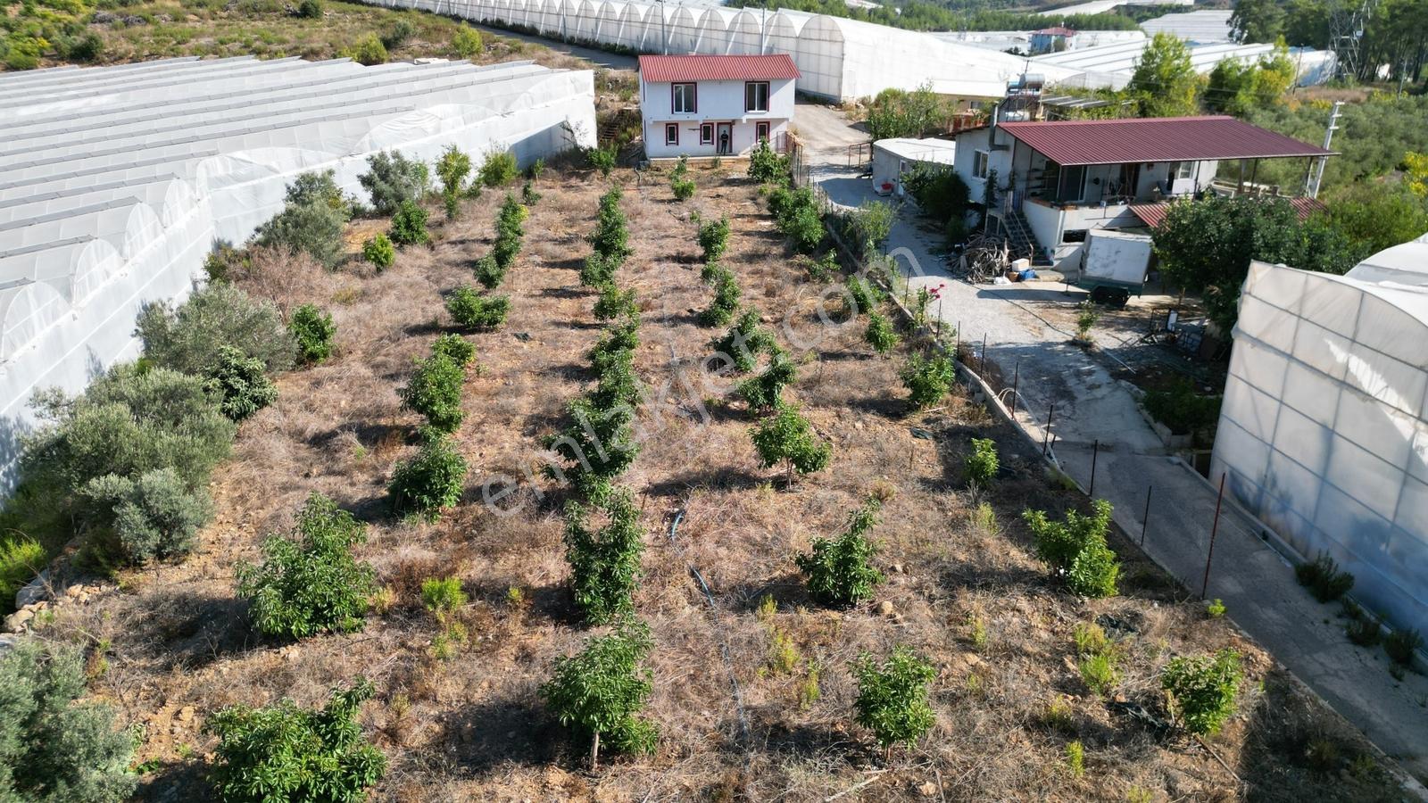 Alanya İmamlı'da Satılık Müstakil Ev + 2000 M² Bahçe - Görsel 22