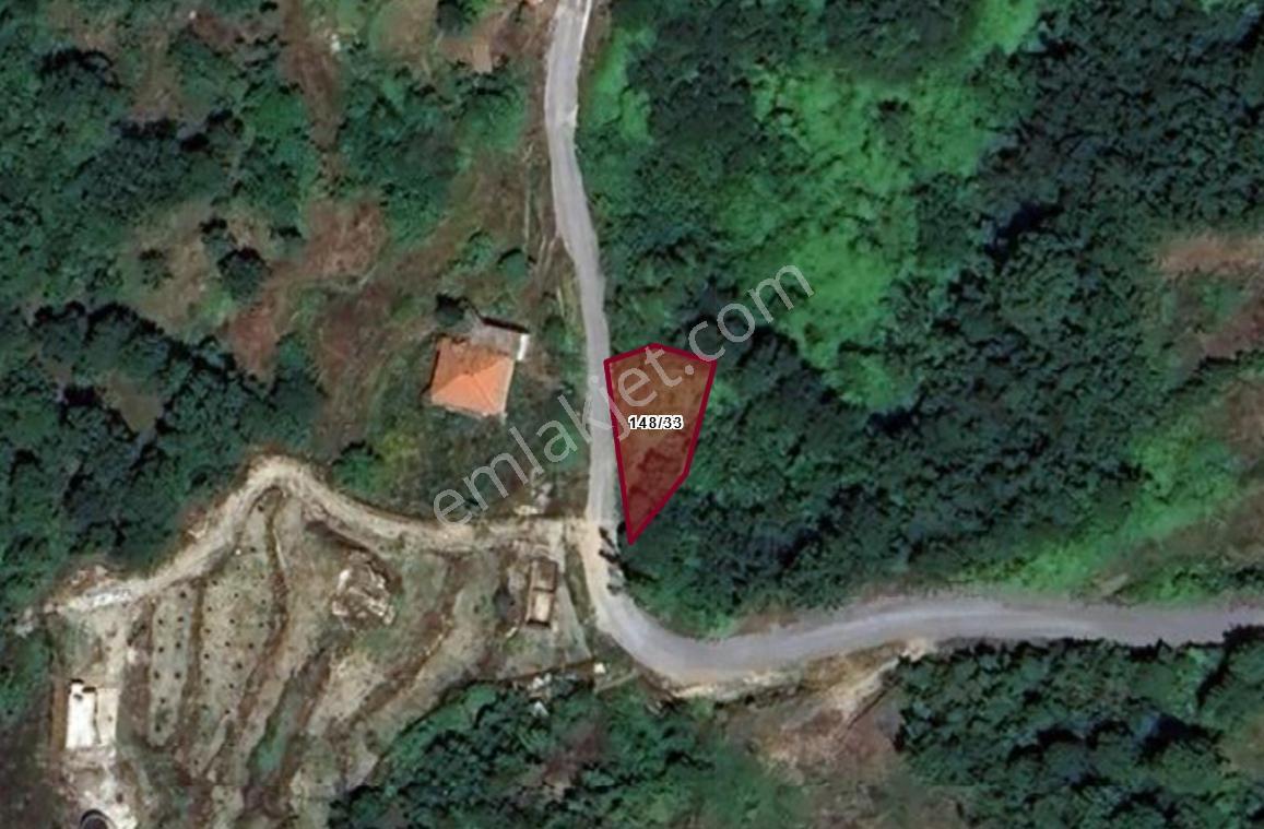 Alanya Satılık Tarla Yola Sıfır Yeniköyde Fırsat İlanı - Görsel 8