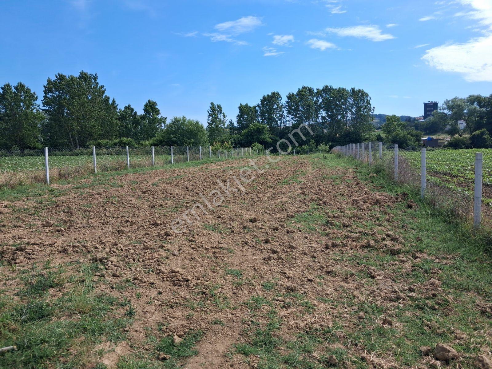 Kocaeli Körfez Himmetlide 1264m2 İçinde Küçük Yapı Olan Tarla - Görsel 8