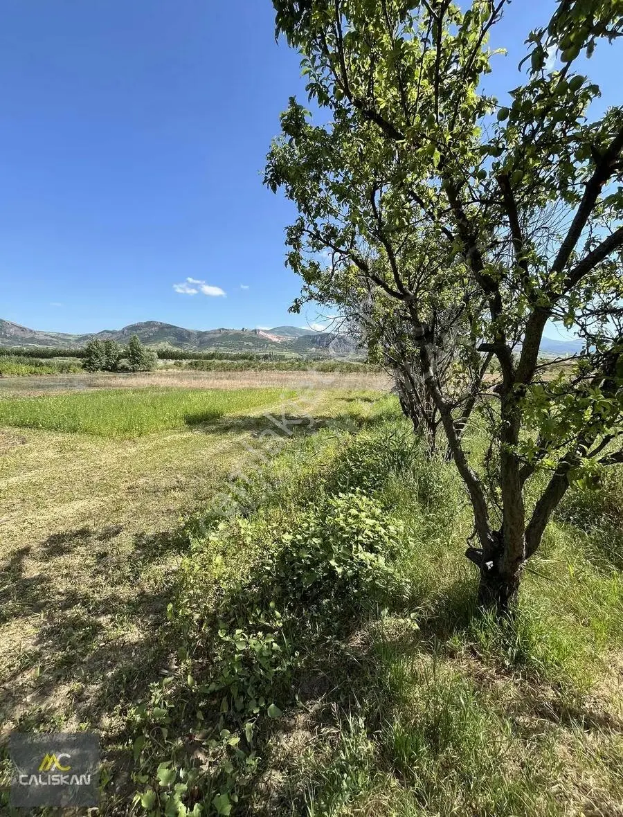 Emirseyit'te Tek Tapu 1.325 M² Satılık Arsa - Yatırım Fırsatı! - Görsel 3