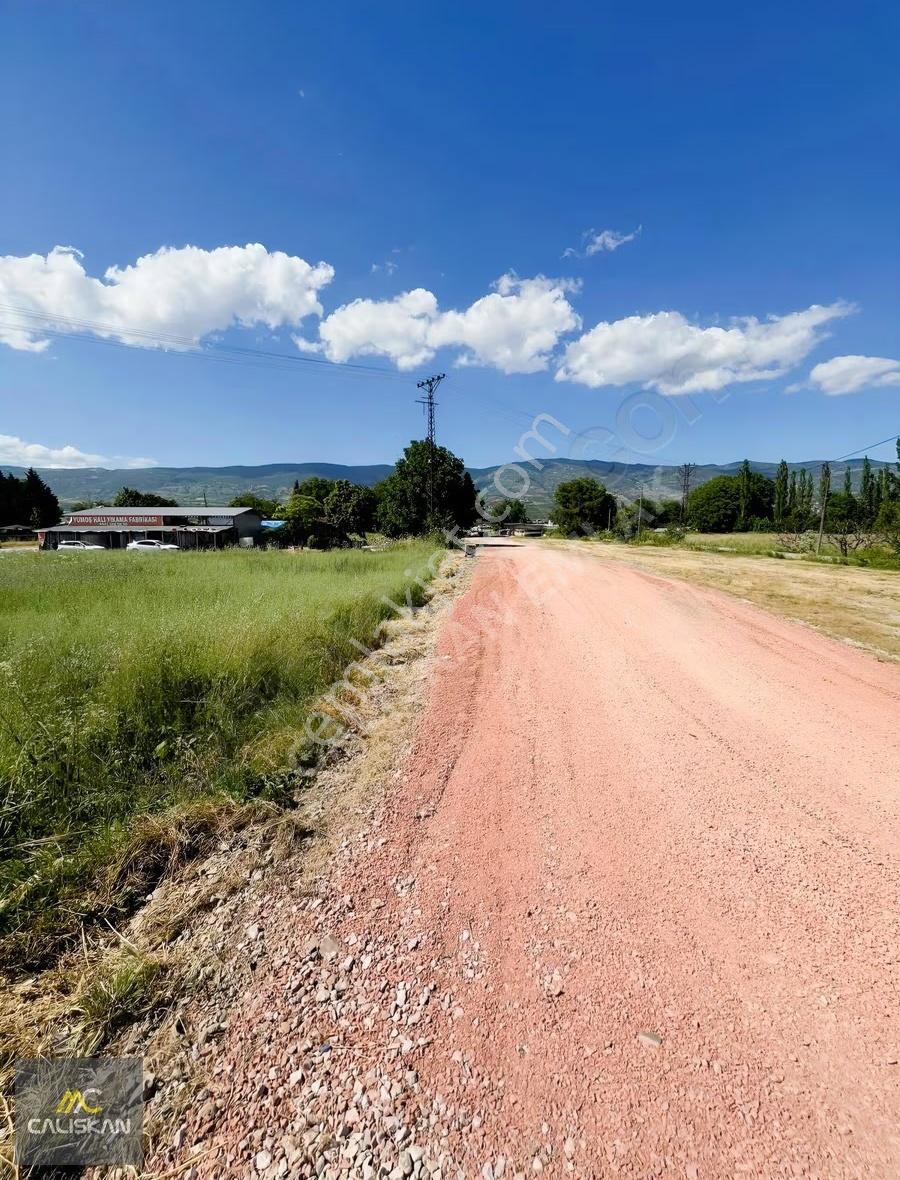 Tokat Turhal Karayolu'nda Kiralık 1000m² Ana Yol Cepheli Tarla - Görsel 8
