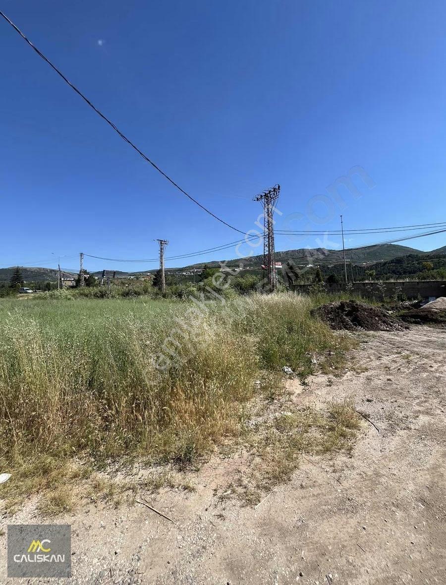 Tokat Turhal Karayolu'nda Kiralık 1000m² Ana Yol Cepheli Tarla - Görsel 9