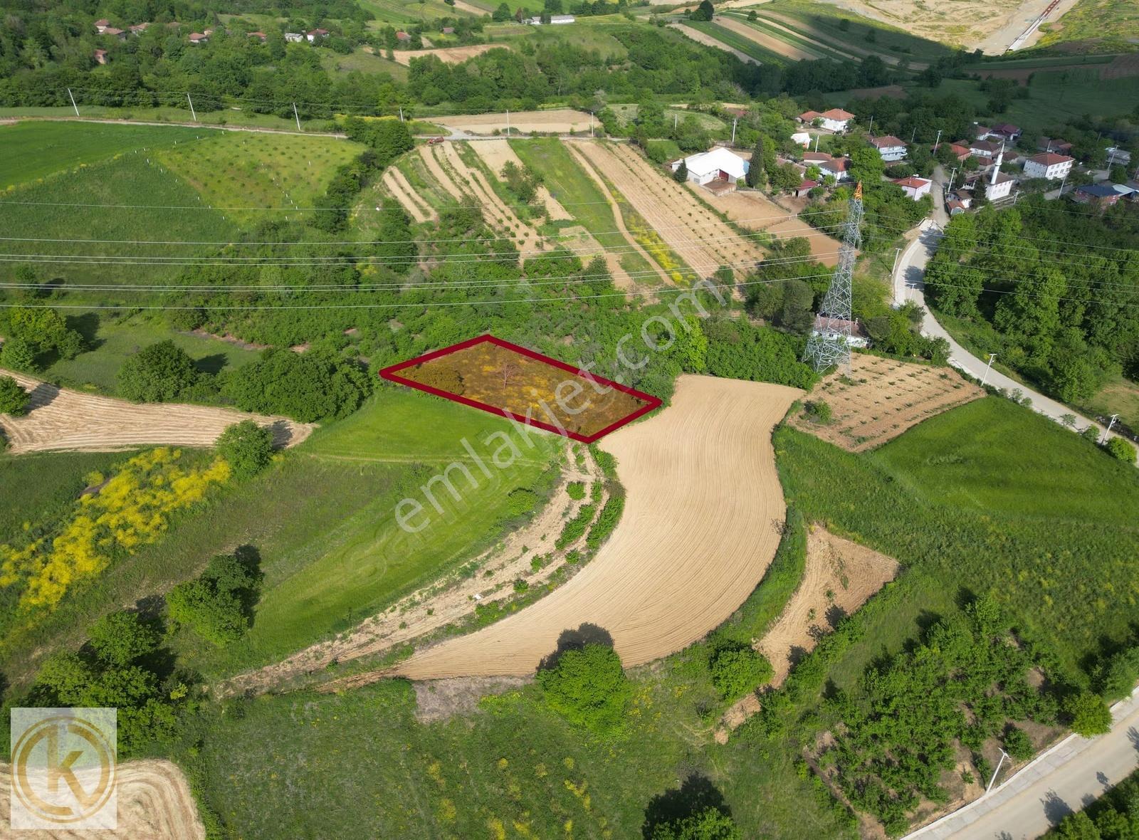 Kaymak Emlaktan Kaynarca Eğrioğlunda 1677 M² Satılık Tarla - Görsel 2