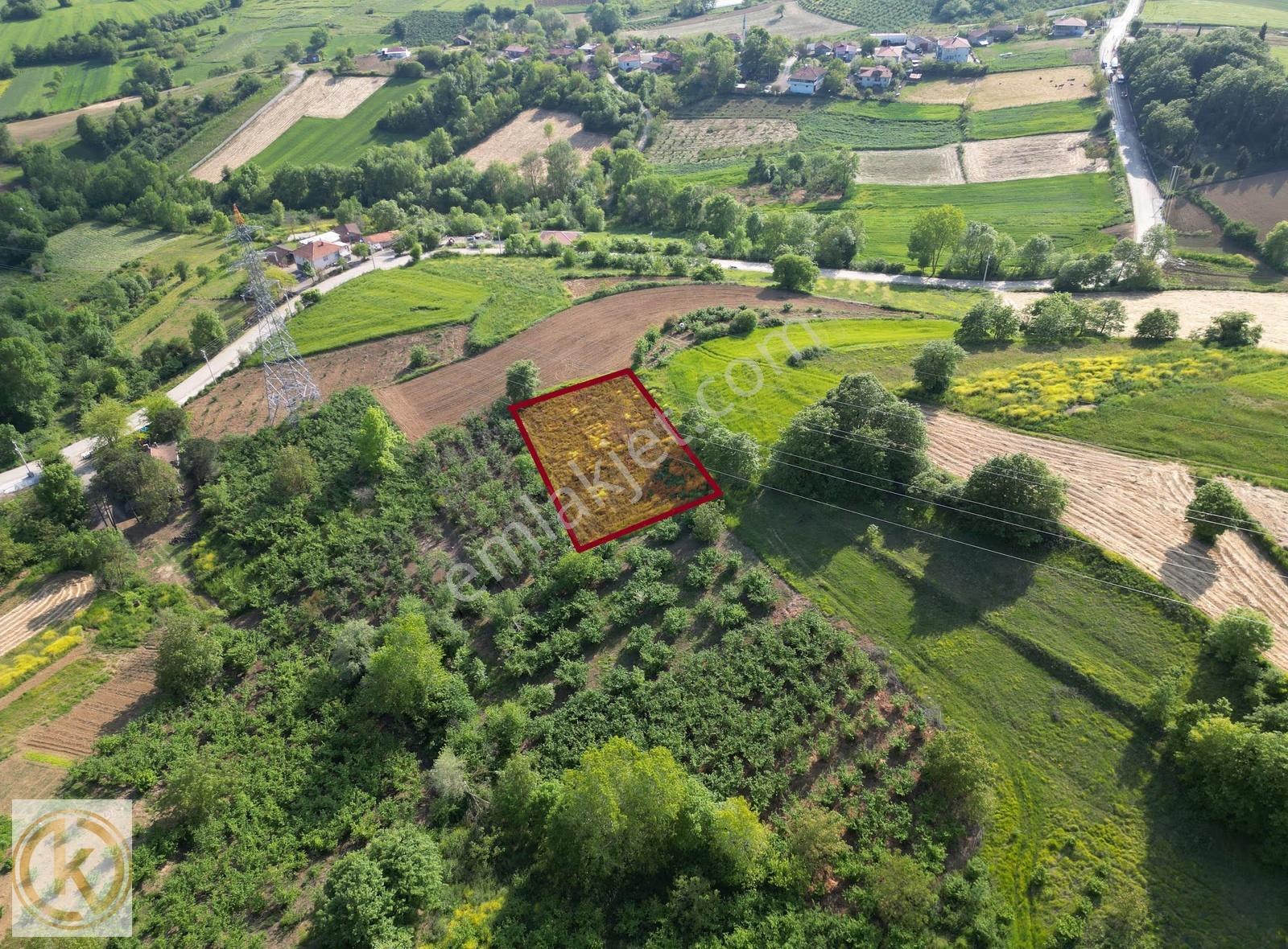 Kaymak Emlaktan Kaynarca Eğrioğlunda 1677 M² Satılık Tarla - Görsel 14