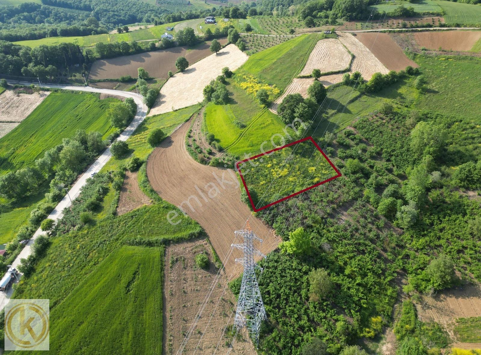 Kaymak Emlaktan Kaynarca Eğrioğlunda 1677 M² Satılık Tarla - Görsel 17