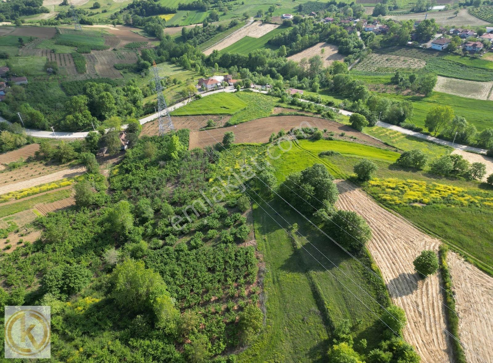 Kaymak Emlaktan Kaynarca Eğrioğlunda 1677 M² Satılık Tarla - Görsel 20