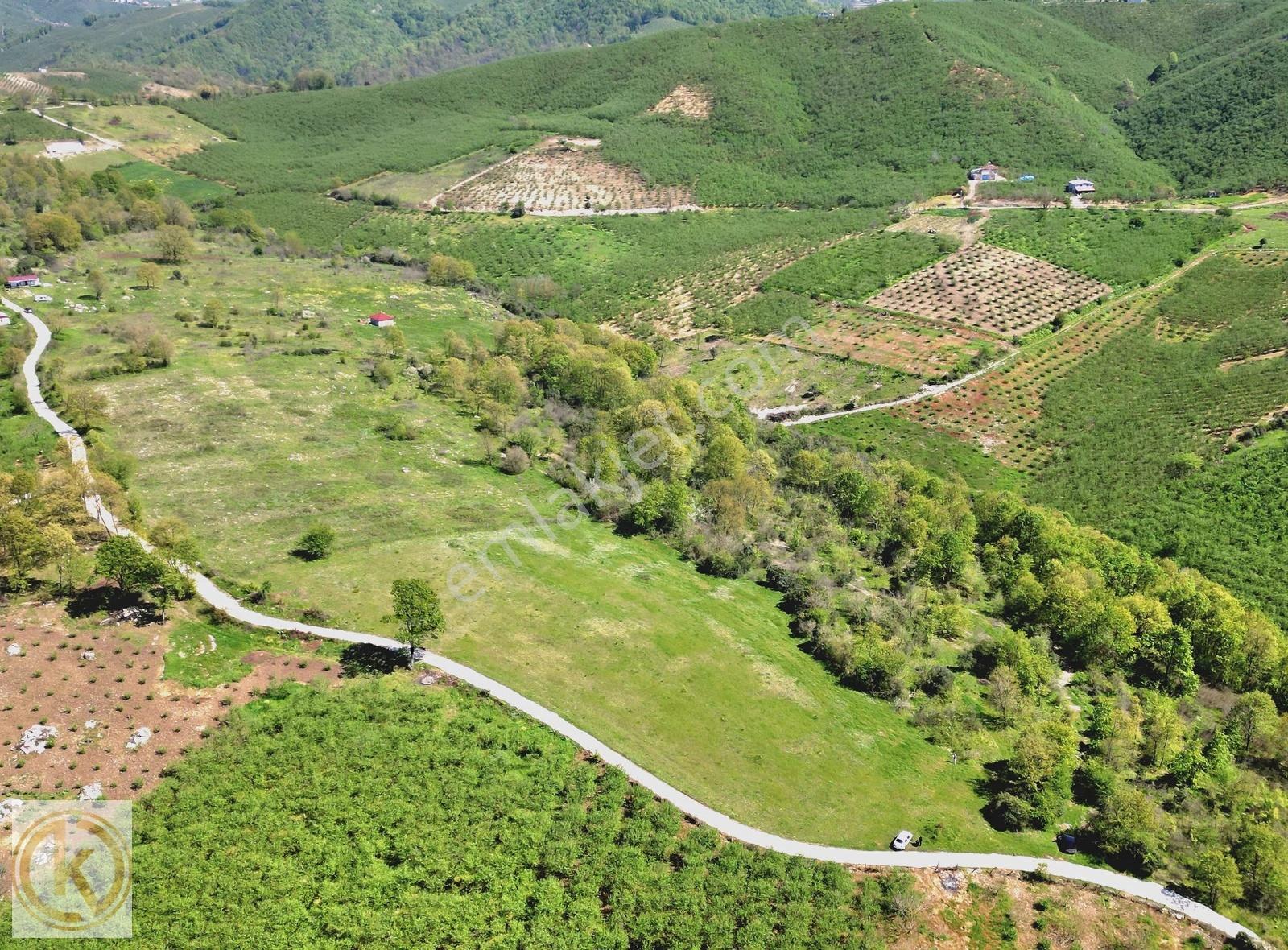 Kaymak Emlaktan Karasu Yassıgeçitte 9367 M² Satılık Tarla - Görsel 5