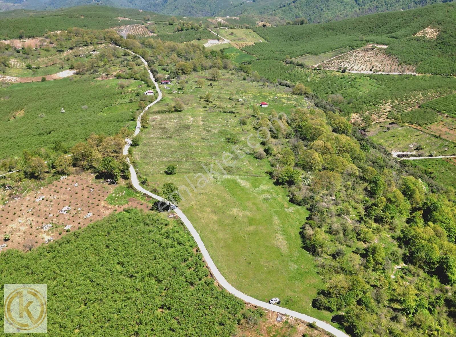 Kaymak Emlaktan Karasu Yassıgeçitte 9367 M² Satılık Tarla - Görsel 12