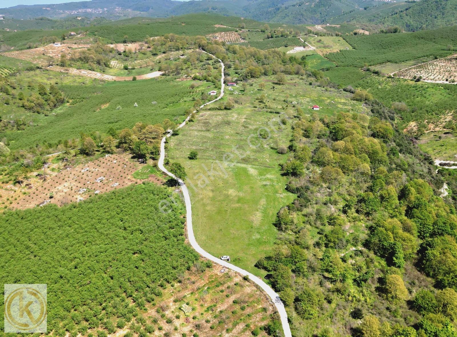 Kaymak Emlaktan Karasu Yassıgeçitte 9367 M² Satılık Tarla - Görsel 17