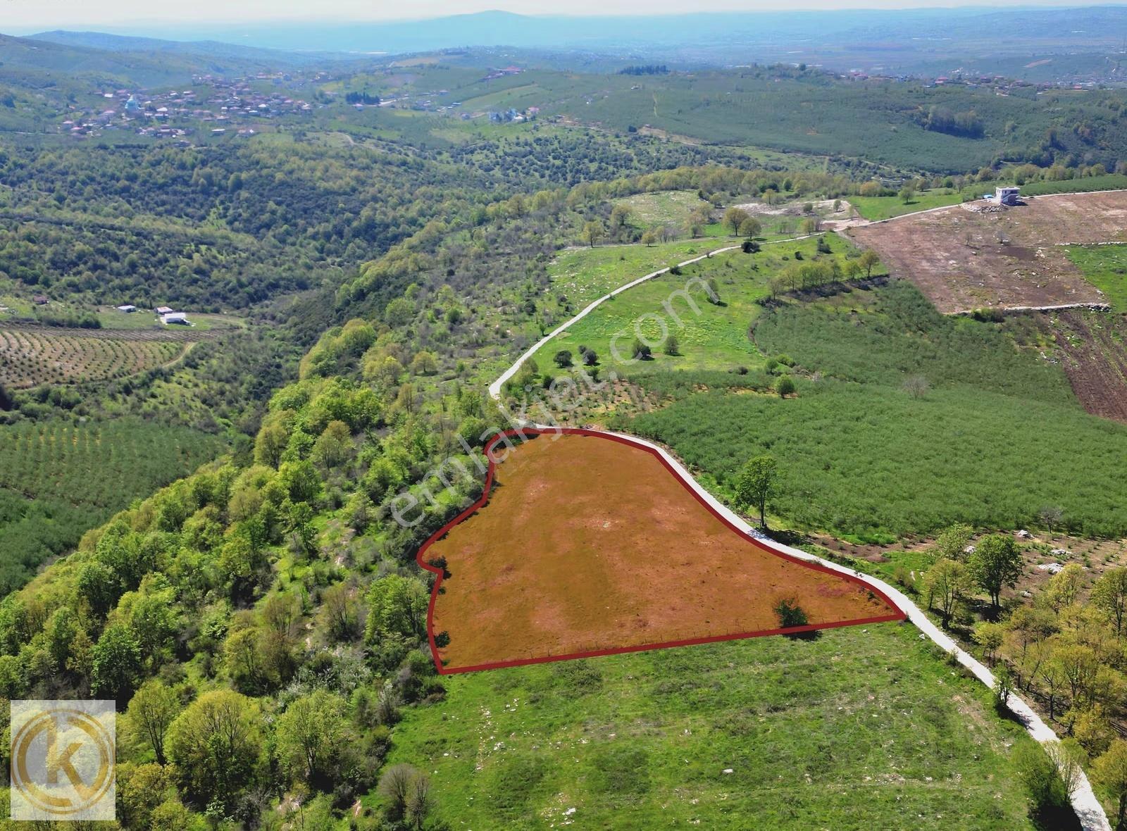 Kaymak Emlaktan Karasu Yassıgeçitte 9367 M² Satılık Tarla - Görsel 3