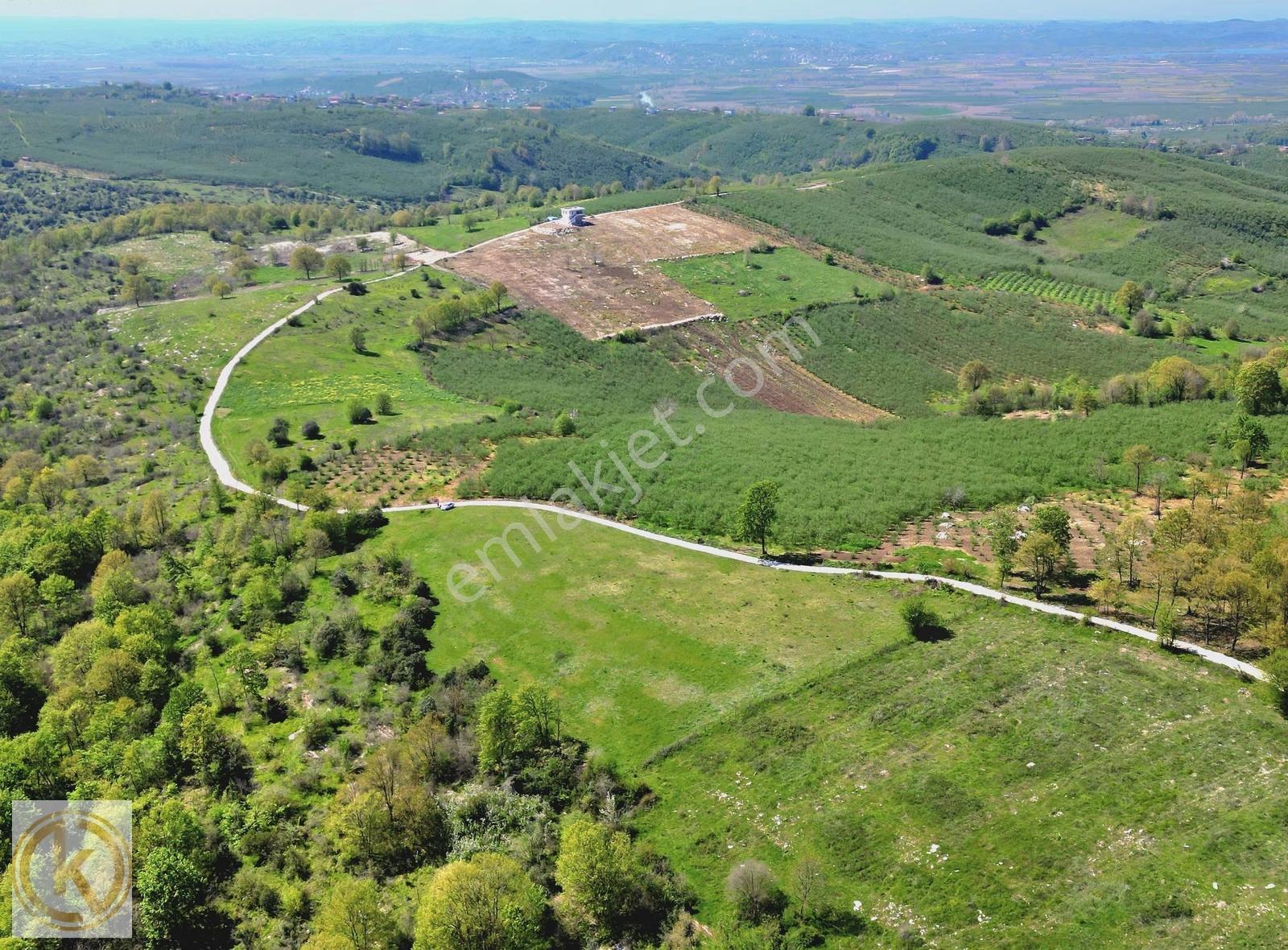 Kaymak Emlaktan Karasu Yassıgeçitte 9367 M² Satılık Tarla - Görsel 2