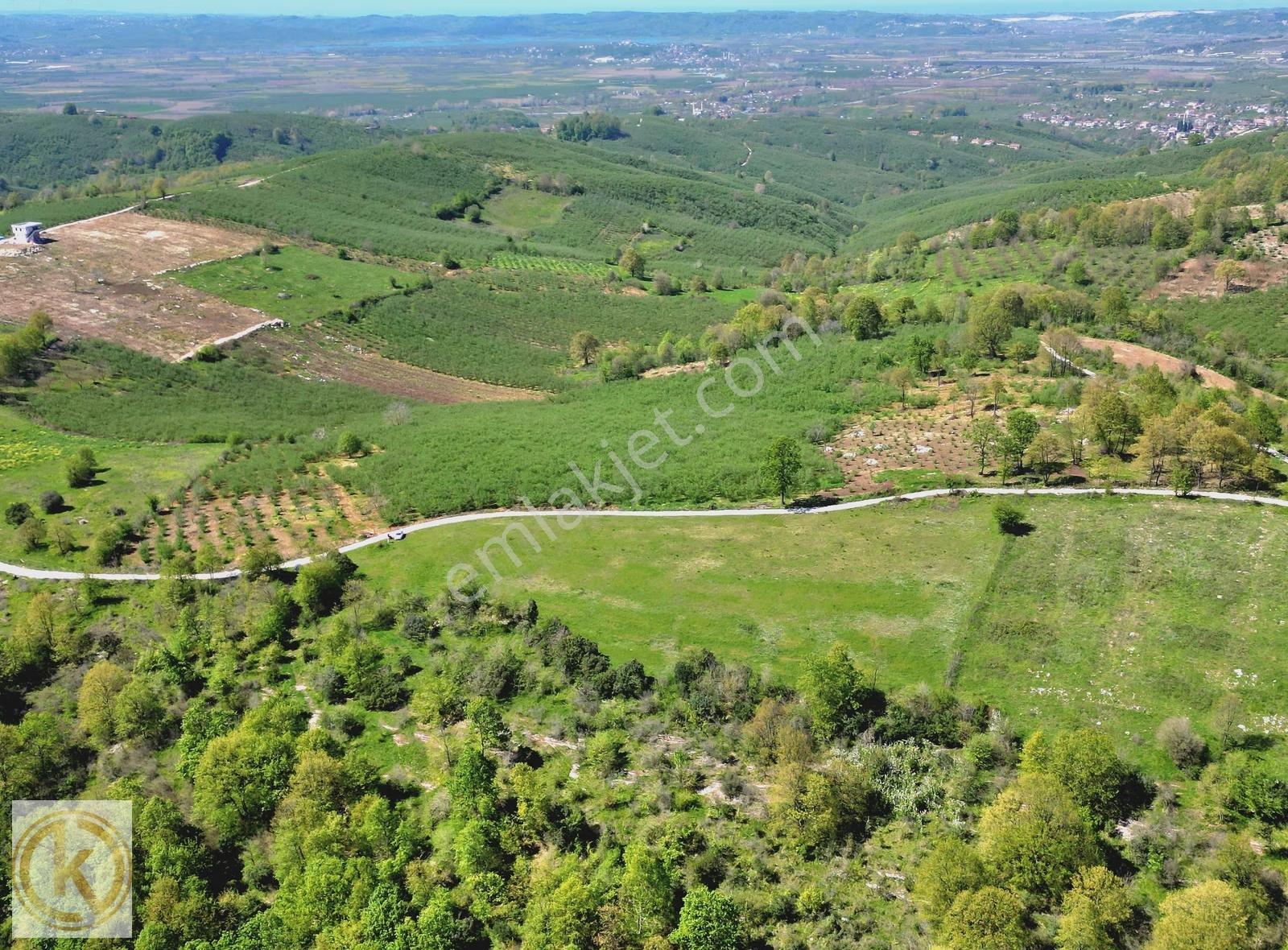 Kaymak Emlaktan Karasu Yassıgeçitte 9367 M² Satılık Tarla - Görsel 21