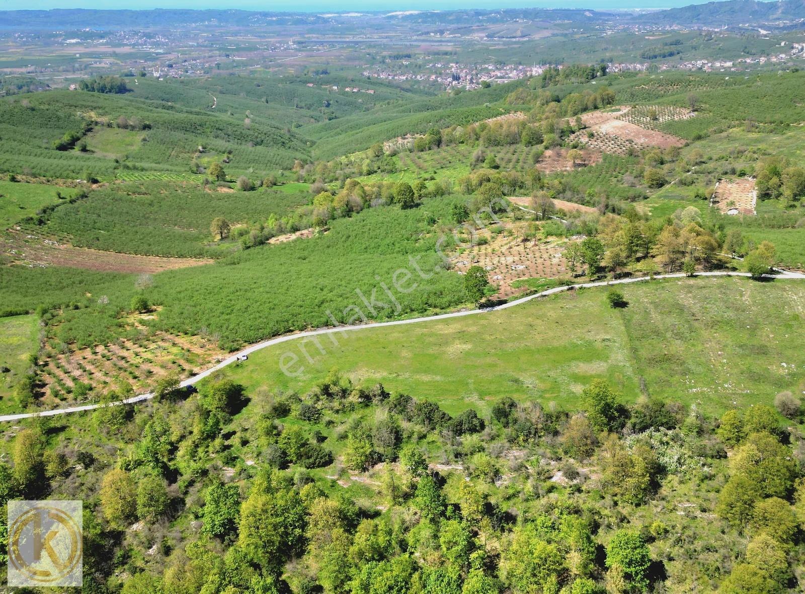 Kaymak Emlaktan Karasu Yassıgeçitte 9367 M² Satılık Tarla - Görsel 29