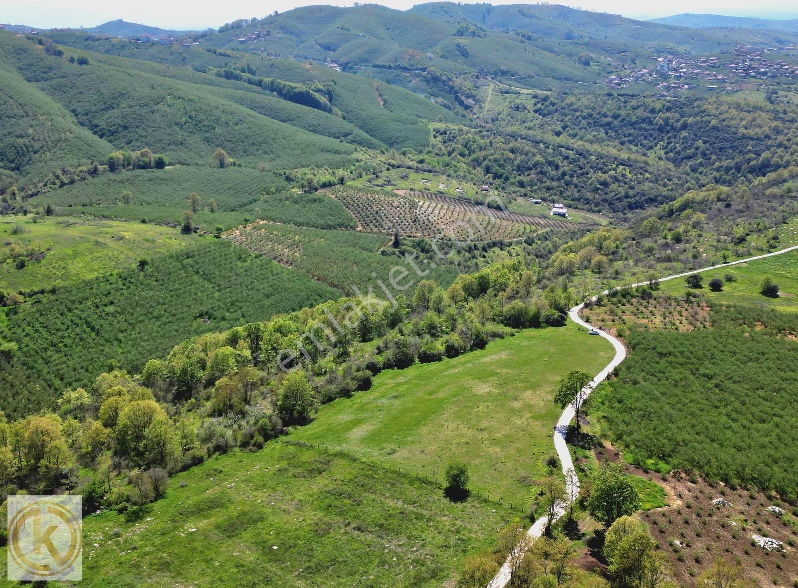 Kaymak Emlaktan Karasu Yassıgeçitte 9367 M² Satılık Tarla - Görsel 7