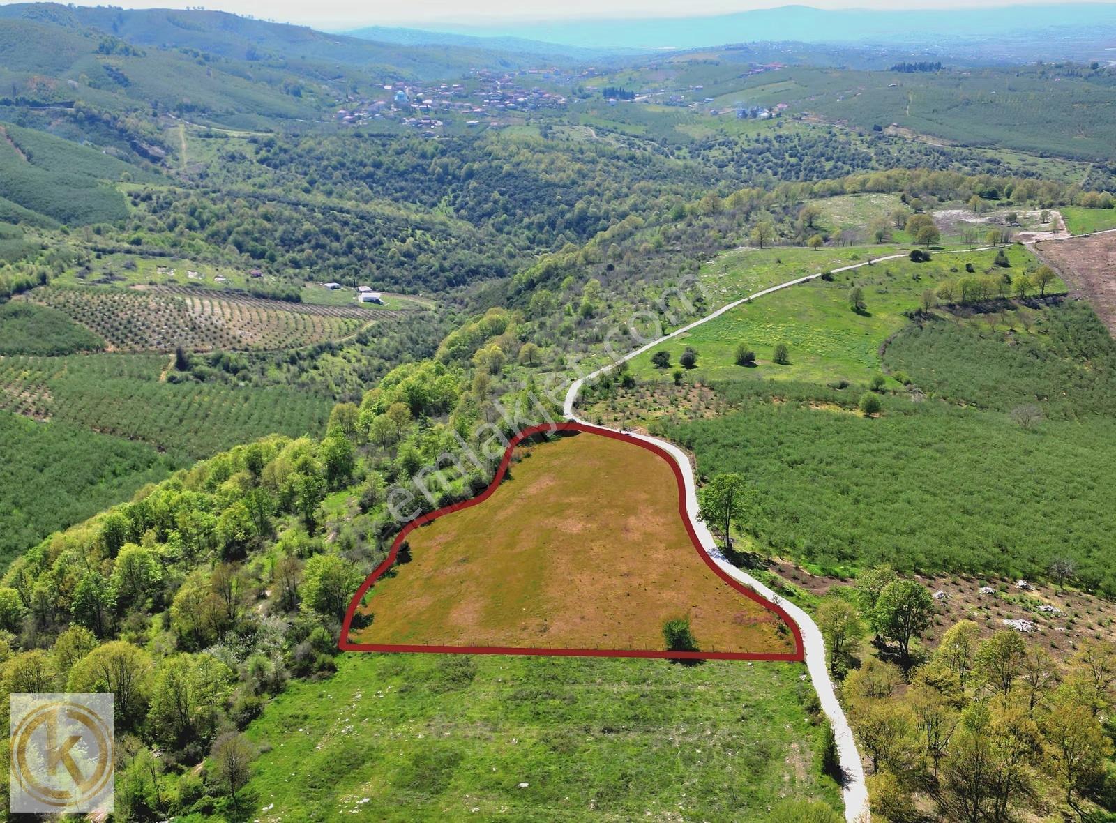 Kaymak Emlaktan Karasu Yassıgeçitte 9367 M² Satılık Tarla - Görsel 19