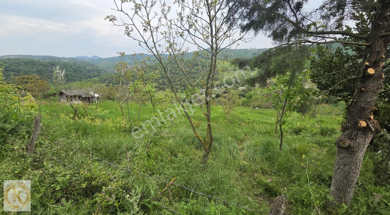 Kaymak Emlaktan Karasu Subatağında %30 İmarlı 1380 M² Arsa - Görsel 6