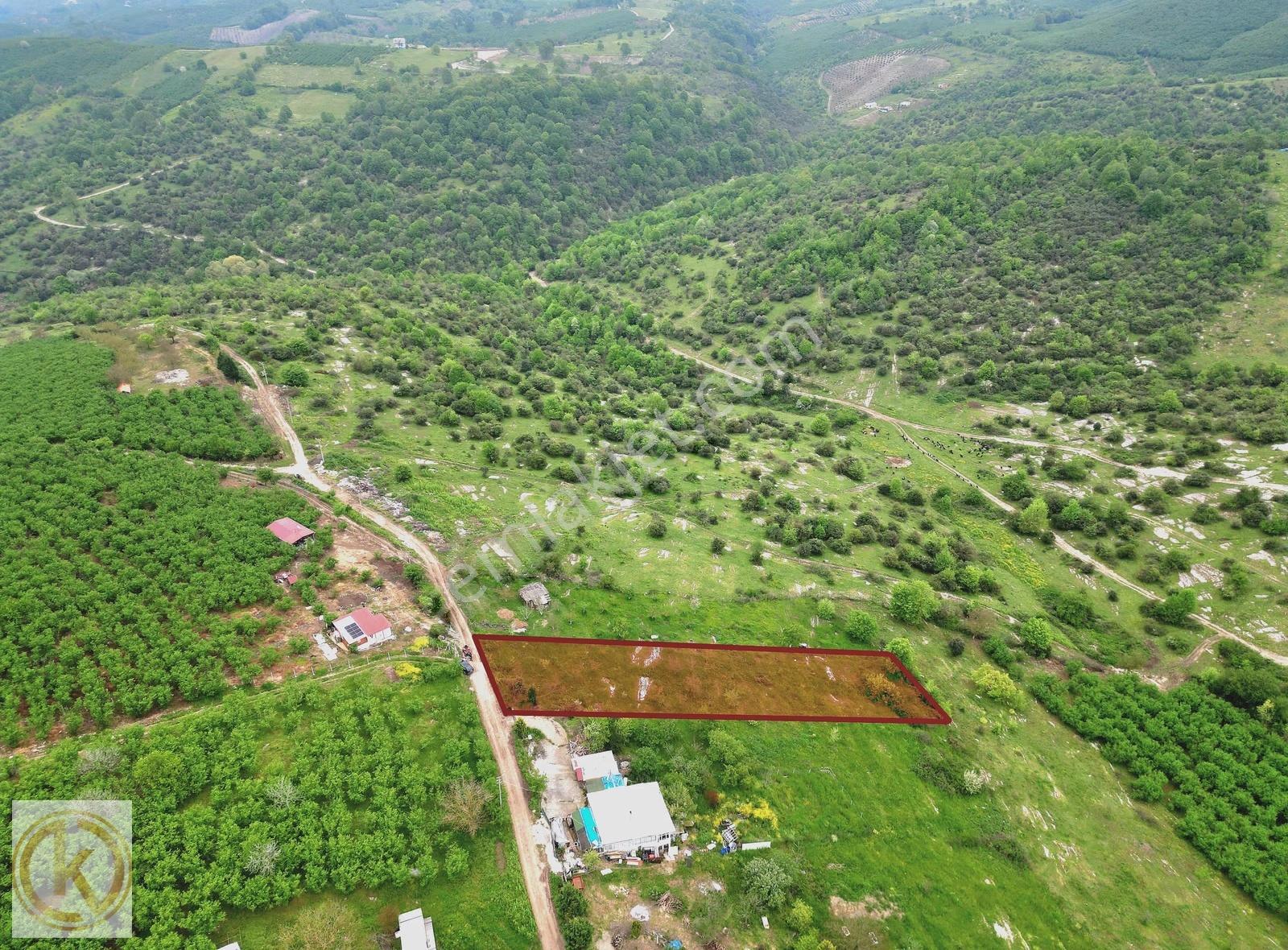 Kaymak Emlaktan Karasu Subatağında %30 İmarlı 1380 M² Arsa - Görsel 7