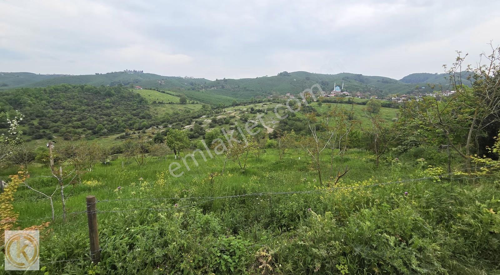Kaymak Emlaktan Karasu Subatağında %30 İmarlı 1380 M² Arsa - Görsel 20