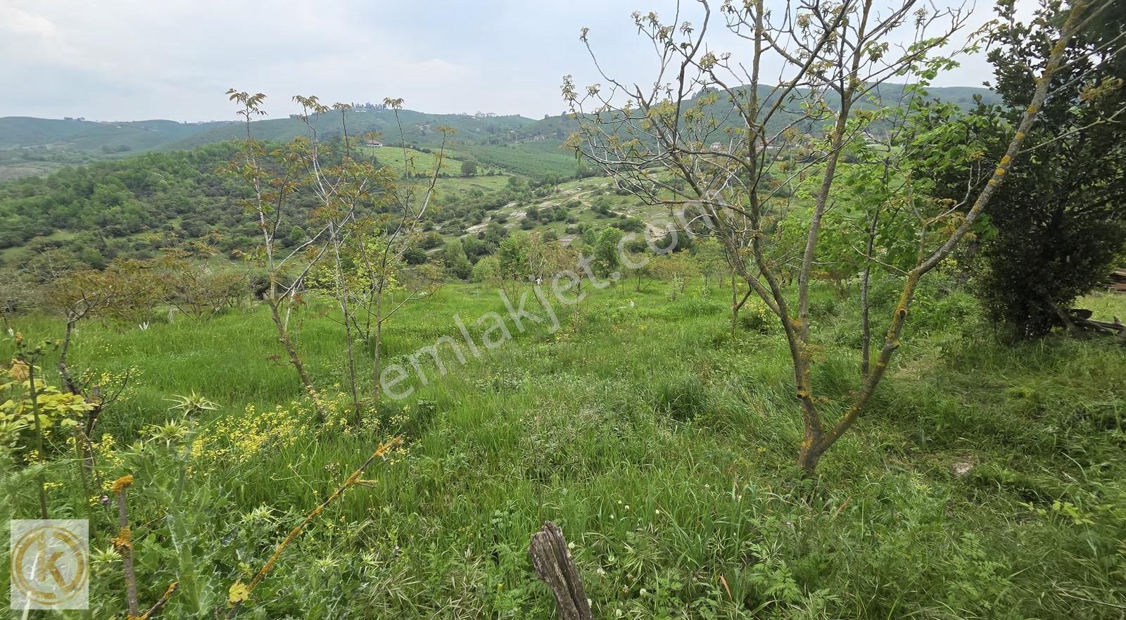 Kaymak Emlaktan Karasu Subatağında %30 İmarlı 1380 M² Arsa - Görsel 11