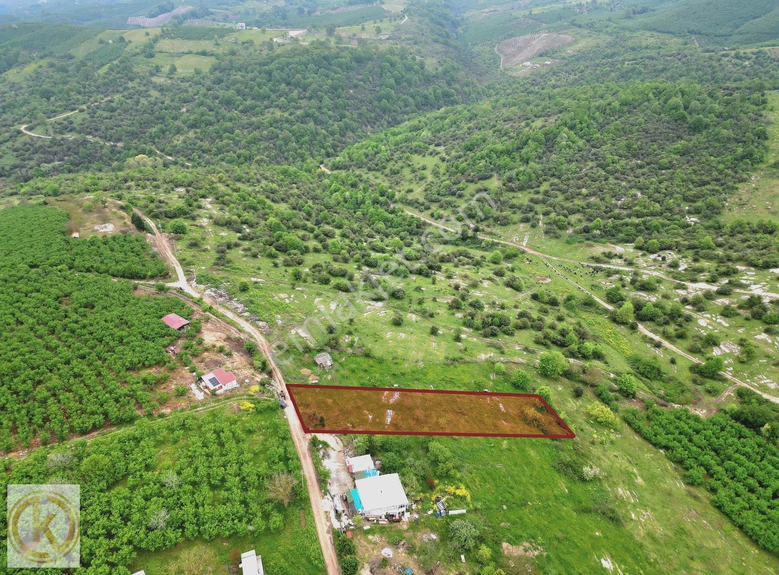 Kaymak Emlaktan Karasu Subatağında %30 İmarlı 1380 M² Arsa - Görsel 4