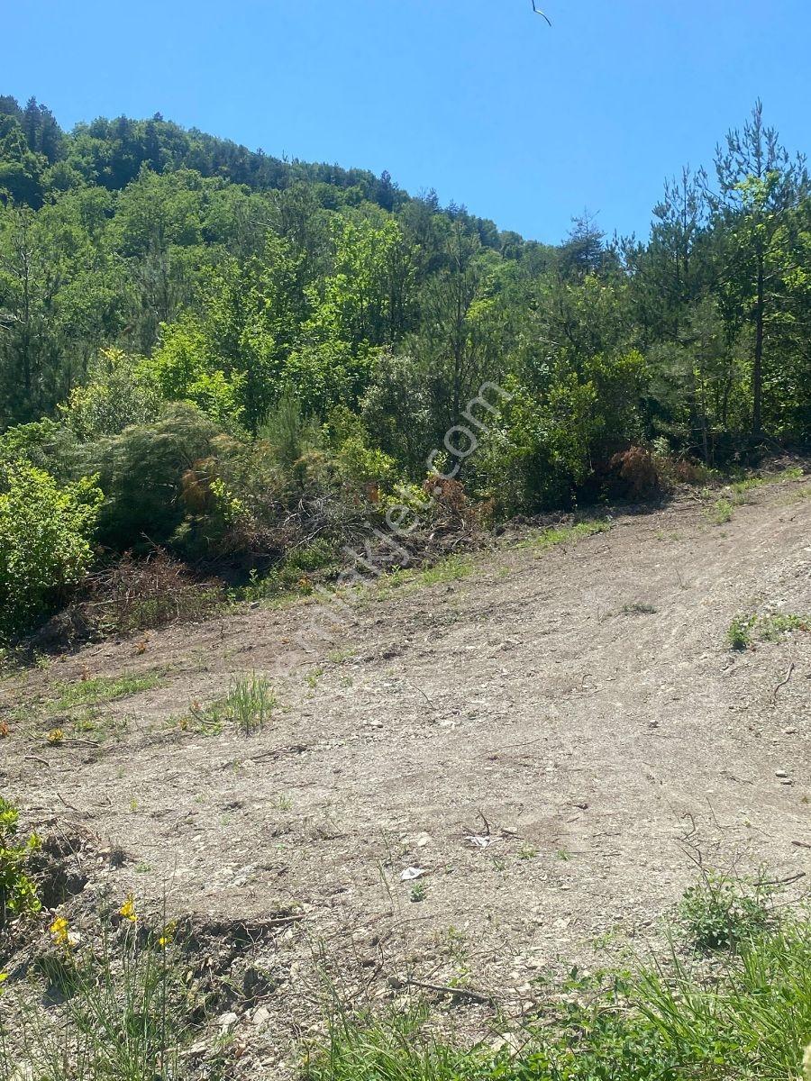 Zeybek'*den Bozkurt Merkez Meteoroloji Tepesi.5.800.m2 İmarli - Görsel 9